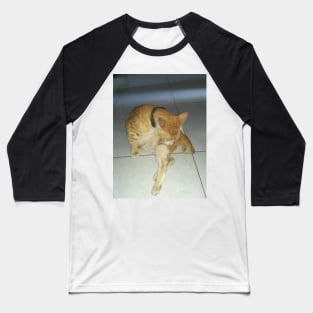 morning cat shower Baseball T-Shirt